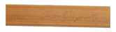 1978-79 Edmonton Oilers Team Signed Hockey Stick Wayne Gretzky Rookie Era BAS