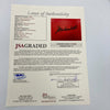 Muhammad Ali Signed Everlast Boxing Gloves Gloves JSA Graded 10 GEM MINT