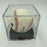 Vladimir Guerrero Signed Major League Baseball PSA DNA Graded 10 GEM MINT