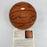 1977-1978 Kentucky Wildcats NCAA Champs Team Signed Basketball JSA COA