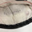 Muhammad Ali Signed Everlast Boxing Glove JSA COA