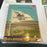 Lot Of (8) 1970's New York Mets Vintage Yearbooks With World Series