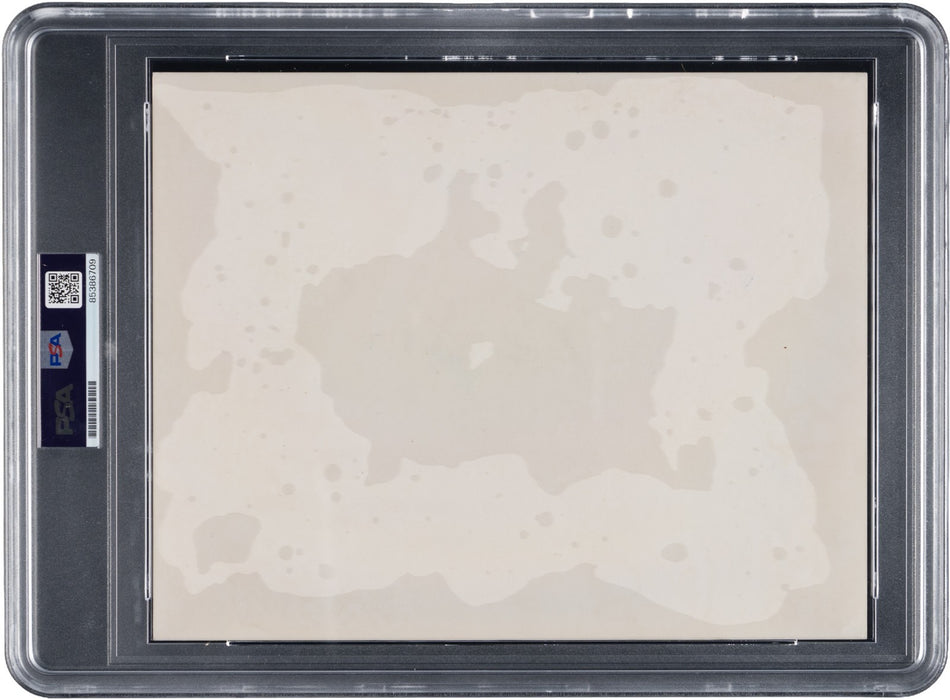 1959 Chicago White Sox AL Champs Team Signed 8x10 Photo PSA DNA