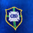 Pele Game Used 1970 Brazil National Soccer Jersey With Sports Investors COA