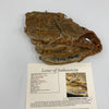 Mickey Mantle Signed 1950's Rawlings Game Model Baseball Glove JSA COA