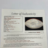 1972 Miami Dolphins Super Bowl Champs Team Signed Wilson Football 40+ Sigs JSA