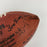 1987 Cincinnati Bengals Team Signed Wilson NFL Football