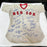 1975 Boston Red Sox AL Champs Team Signed Game Model Jersey Carl Yastrzemski JSA