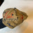 2001 PGA SBC Senior Classic Signed Golf Hat 39 Sigs Gary Player Hale Irwin JSA