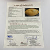 1962 Green Bay Packers NFL Champs Team Signed Football JSA COA