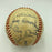 Red Auerbach John Madden MLB NBA NFL HOF Legends Multi Signed Baseball JSA COA