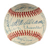 Beautiful Mickey Mantle Ted Williams Hall Of Fame Multi Signed Baseball JSA COA