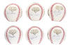 2009 New York Yankees WS Champs Team Signed Baseball Collection 42 Balls JSA COA