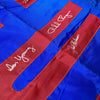 1969 Chicago Cubs Team Signed Huge Wrigley Field Cubs 30" x 69" Stadium Flag JSA