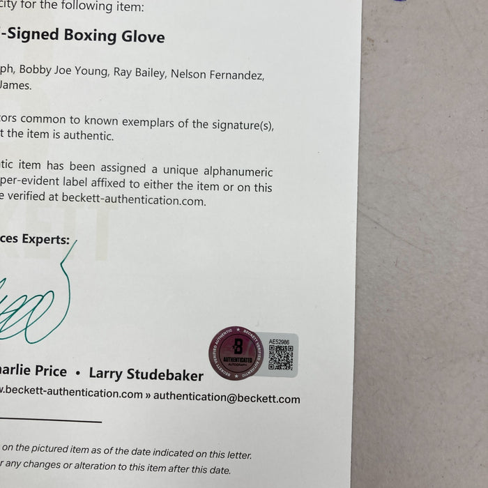 Boxing Greats Multi Signed Glove 14 Sig Larry Hazzard, Dave Joseph Beckett COA