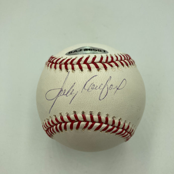 1955 Brooklyn Dodgers W.S. Team Signed Baseball Collection 29 Balls PSA JSA COA