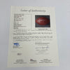 Beautiful Walter Payton Signed Wilson Official NFL Game Football JSA COA