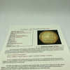 1964 St. Louis Cardinals World Series Champs Team Signed Baseball JSA COA