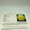 1980 Philadelphia Phillies World Series Champs Team Signed Baseball JSA COA