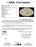 2005 Texas Longhorns NCAA National Champs Team Signed Football 40+ Sigs JSA COA