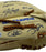 2016 Chicago Cubs World Series Champs Team Signed Baseball Glove MLB & Fanatics