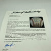 1955 St. Louis Cardinals Team Signed National League Baseball PSA DNA COA