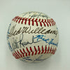 Ted Williams Boston Red Sox Legends Multi Signed Baseball 30 Signatures PSA DNA