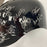 2007 Boston Red Sox World Series Champs Team Signed Helmet Steiner & MLB