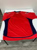 2007-2008 Washington Capitals Team Signed Game Jersey Alexander Ovechkin JSA COA