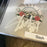 Slash Signed Autographed Guns N Roses Greatest Hits Music CD With JSA COA