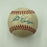 1956 Brooklyn Dodgers Team Signed Baseball Collection 31 Balls PSA JSA COA