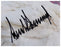 Magnificent President Donald Trump Full Name Signed Large 20x30 Photo JSA COA