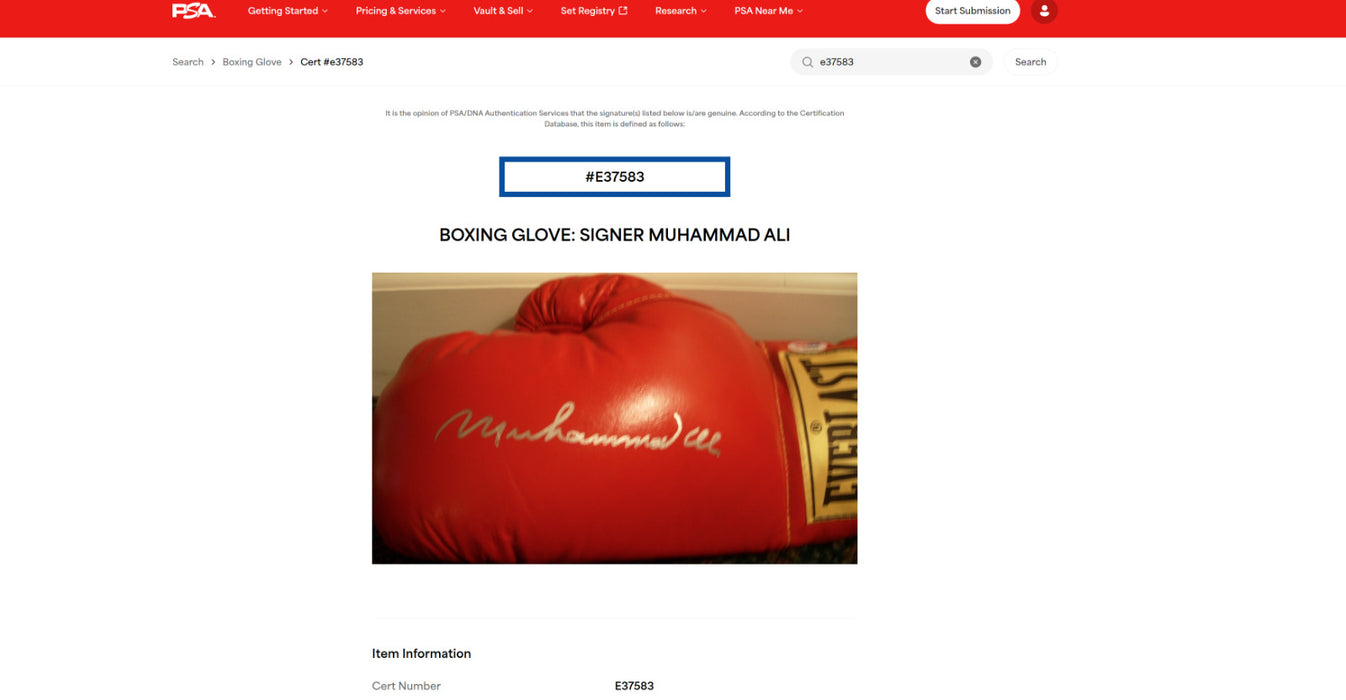 Stunning Muhammad Ali Full Name Signed Everlast Boxing Glove Silver Ink PSA DNA