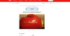 Stunning Muhammad Ali Full Name Signed Everlast Boxing Glove Silver Ink PSA DNA