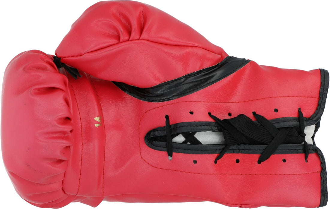 Michael Jordan & Muhammad Ali Signed Everlast Boxing Glove UDA Upper Deck & JSA