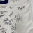 NFL Hall Of Fame Quarterbacks Multi Signed Mitchell & Ness Jersey 40 Sigs JSA