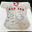 1967 Boston Red Sox AL Champs Team Signed Game Model Jersey Carl Yastrzemski JSA