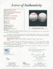 1961 New York Yankees World Series Champs Team Signed Baseball Mickey Mantle JSA