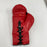 Muhammad Ali Signed Everlast Boxing Glove JSA COA