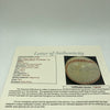 Mickey Mantle Joe Dimaggio Ted Williams Signed American League Baseball JSA COA
