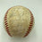 1981 New York Yankees American League Champs Team Signed Baseball