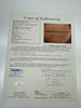 Michael Jordan 1997-98 Chicago Bulls Team Signed Basketball "The Last Dance" JSA