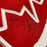 Wayne Gretzky Signed Team Canada Authentic Nike Olympic Jersey JSA COA