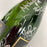 2012 San Francisco Giants W.S. Champs Team Signed Champagne Bottle PSA & MLB