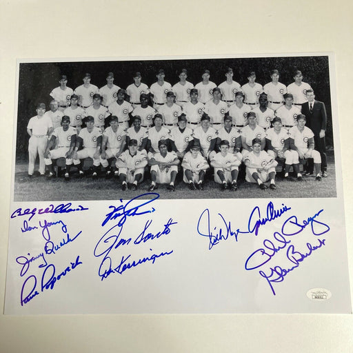 1969 Chicago Cubs Team Signed Autographed 11x14 Baseball Photo 10 Sigs JSA COA