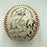 1987 St. Louis Cardinals NL Champs Team Signed National League Baseball JSA COA
