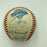 1993 Toronto Blue Jays World Series Champs Team Signed Baseball JSA COA