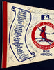 1982 St. Louis Cardinals World Series Champs Team Signed Baseball Pennant BAS