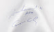 Muhammad Ali AKA Cassius Clay Signed Everlast Boxing Shorts PSA DNA COA