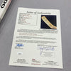 1989-1990 Los Angeles Kings Team Signed Titan Hockey Stick Wayne Gretzky JSA COA